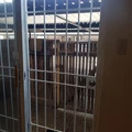 2 bedrooms apartment for rent in Memorial - West Houston, Houston