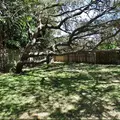 3 bedrooms apartment for rent in Osprey - Sarasota, Sarasota