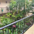 1 bedroom apartment for rent in South Sarasota - Sarasota, Sarasota