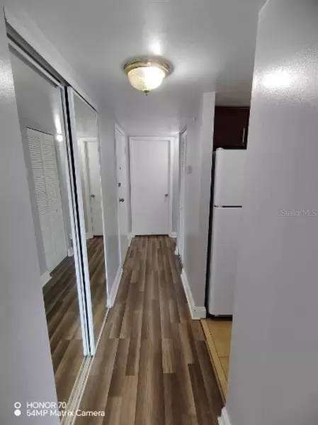 1 bedroom apartment for rent in Egypt Lake-Leto - North Tampa, Tampa