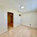 1 bedroom apartment for rent in University - North Tampa, Tampa