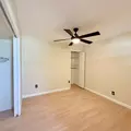 1 bedroom apartment for rent in University - North Tampa, Tampa