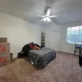 2 bedrooms apartment for rent in University - North Tampa, Tampa