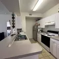 2 bedrooms apartment for rent in University - North Tampa, Tampa