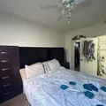2 bedrooms apartment for rent in University - North Tampa, Tampa