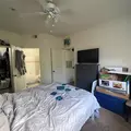 2 bedrooms apartment for rent in University - North Tampa, Tampa