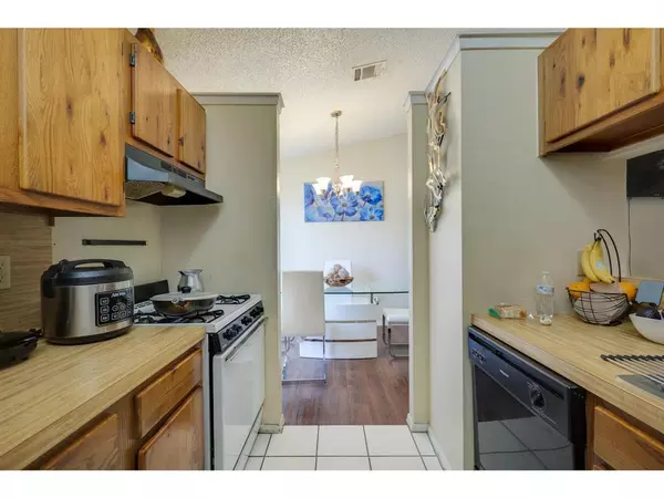 2 bedrooms apartment for rent in North Austin Civic Association - North Austin, Austin