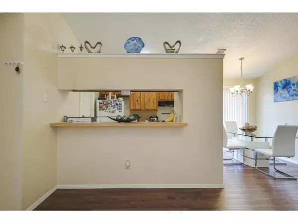 2 bedrooms apartment for rent in North Austin Civic Association - North Austin, Austin