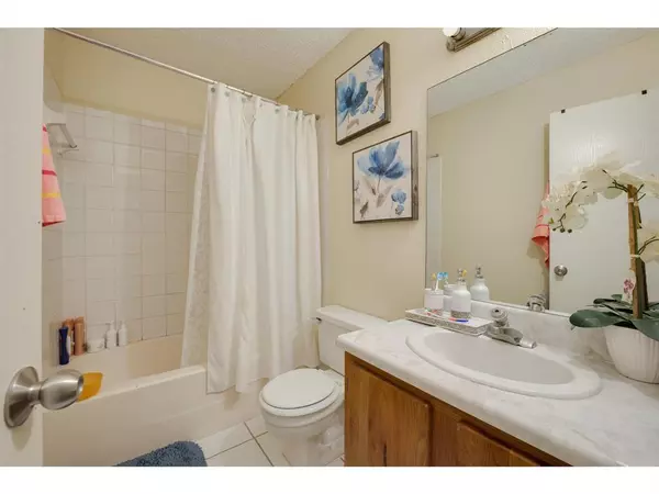 2 bedrooms apartment for rent in North Austin Civic Association - North Austin, Austin