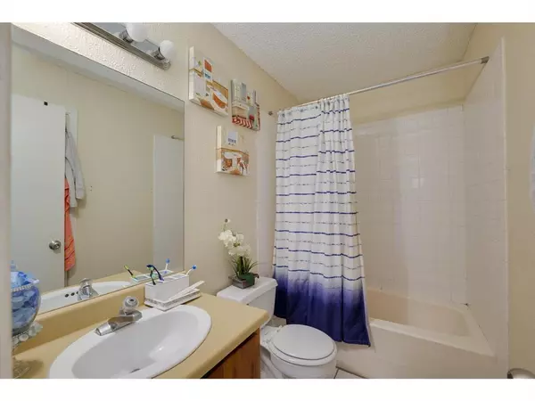 2 bedrooms apartment for rent in North Austin Civic Association - North Austin, Austin