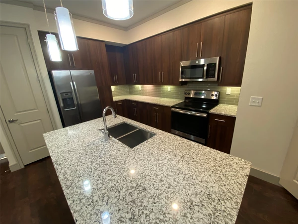 2 bedrooms apartment for rent in Downtown Houston - Inner Loop, Houston