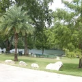 2 bedrooms apartment for rent in Barton Creek - West Austin, Austin