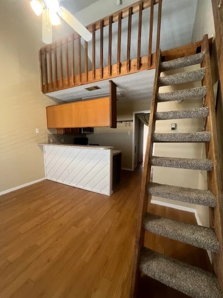 1 bedroom apartment for rent in Old West Austin - Central Austin, Austin