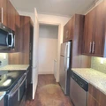 1 bedroom apartment for rent in Downtown Houston - Inner Loop, Houston