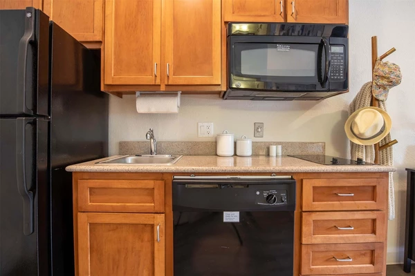 Studio Apartment for rent in North Houston - Nw Houston, Houston