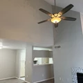 1 bedroom apartment for rent in Fondren Gardens - Sw Houston, Houston