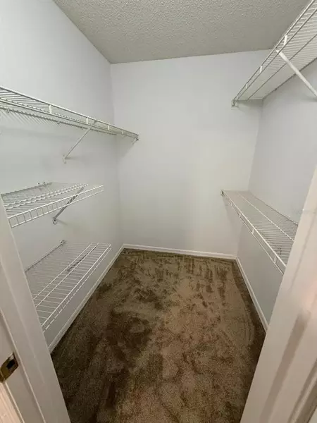 2 bedrooms apartment for rent in Orlovista - West Orlando, Orlando