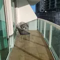 2 bedrooms apartment for rent in Downtown Miami - Miami, Miami