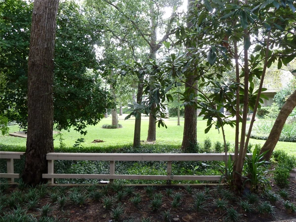 1 bedroom apartment for rent in Woodlake/ Briar Meadow - West Houston, Houston