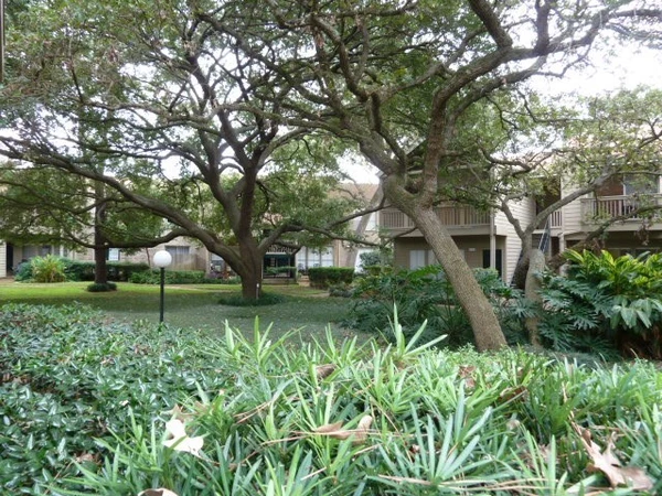 1 bedroom apartment for rent in Woodlake/ Briar Meadow - West Houston, Houston