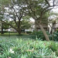 1 bedroom apartment for rent in Woodlake/ Briar Meadow - West Houston, Houston