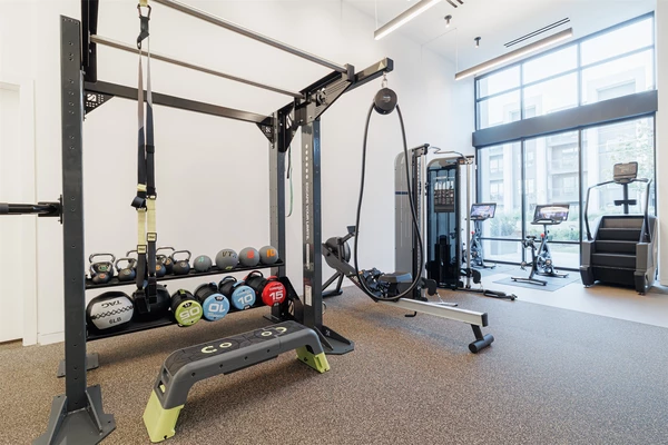 2 bedrooms apartment for rent in Westchase - West Houston, Houston