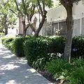 1 bedroom apartment for rent in Pico Union - Central Los Angeles, Los Angeles