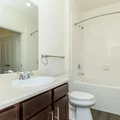 1 bedroom apartment for rent in Southeast Austin - South Austin, Austin