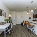 1 bedroom apartment for rent in Southeast Austin - South Austin, Austin