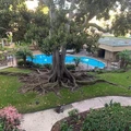 1 bedroom apartment for rent in Point Loma - Coastal, San Diego