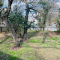 3 bedrooms apartment for rent in Barton Creek - West Austin, Austin