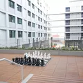 2 bedrooms apartment for rent in Chinatown LA - Central Los Angeles, Los Angeles