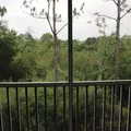 2 bedrooms apartment for rent in The Meadows - Sarasota, Sarasota