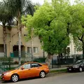 1 bedroom apartment for rent in East Hollywood - Central Los Angeles, Los Angeles