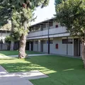 1 bedroom apartment for rent in Mar Vista - Westside / South Bay, Los Angeles