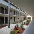 Studio Apartment for rent in University Square - North Tampa, Tampa
