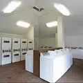 Studio Apartment for rent in University Square - North Tampa, Tampa