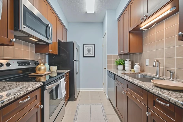 1 bedroom apartment for rent in Braeswood Place - Inner Loop, Houston