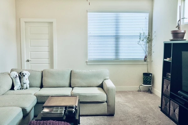 4 bedrooms apartment for rent in North Lamar - North Austin, Austin