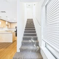 1 bedroom apartment for rent in Old West Austin - Central Austin, Austin
