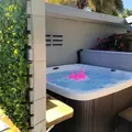 1 bedroom apartment for rent in Sarasota - Sarasota, Sarasota