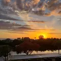 1 bedroom apartment for rent in Osprey - Sarasota, Sarasota