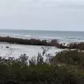 1 bedroom apartment for rent in Osprey - Sarasota, Sarasota