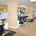 1 bedroom apartment for rent in Osprey - Sarasota, Sarasota