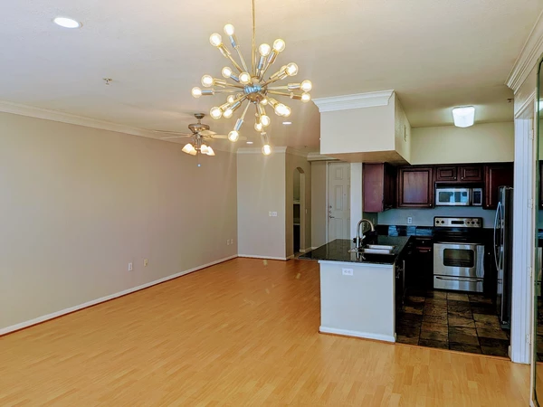 1 bedroom apartment for rent in Braeswood Place - Inner Loop, Houston