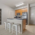 2 bedrooms apartment for rent in Old West Austin - Central Austin, Austin