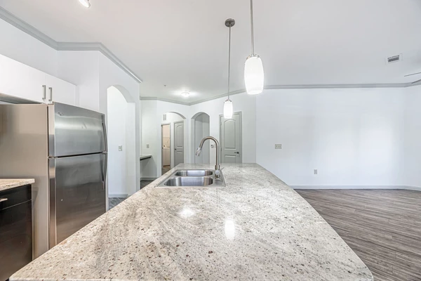 1 bedroom apartment for rent in Braeswood Place - Inner Loop, Houston