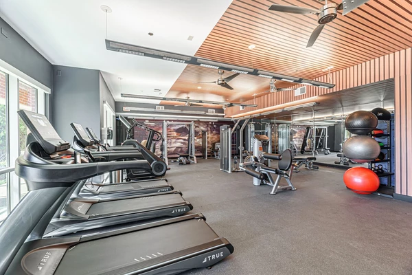 1 bedroom apartment for rent in Braeswood Place - Inner Loop, Houston