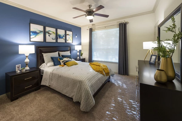 1 bedroom apartment for rent in Braeswood Place - Inner Loop, Houston