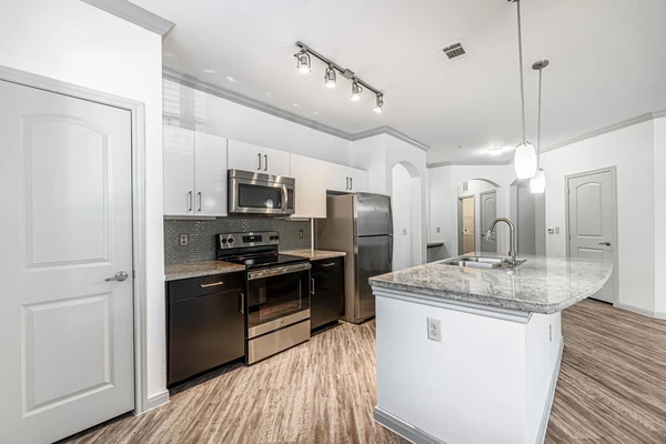 1 bedroom apartment for rent in Braeswood Place - Inner Loop, Houston